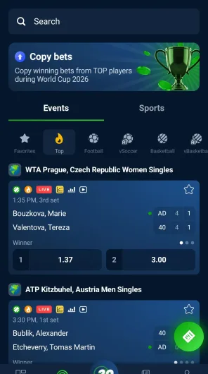 20Bet screenshot