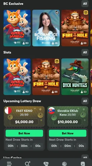 BC.Game screenshot