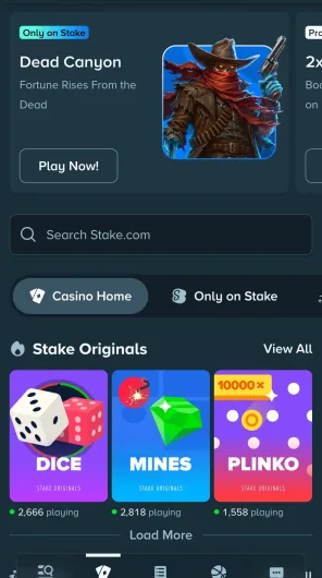 Stake screenshot