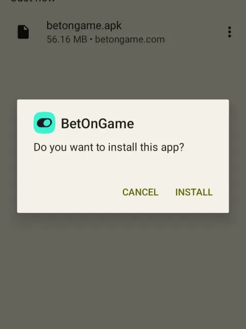 Open the downloaded file