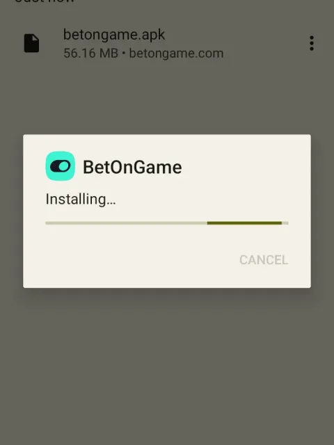 Let the install finish