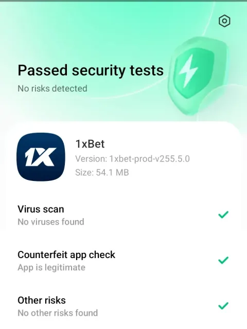 Check the security scan